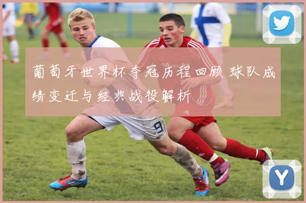 葡萄牙世界杯夺冠历程回顾 球队成绩变迁与经典战役解析